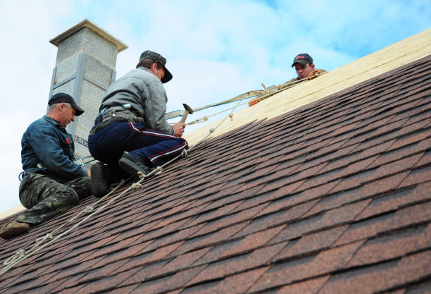 Quick and Trustworthy Emergency Roof Repair Services in Meadowood, PA